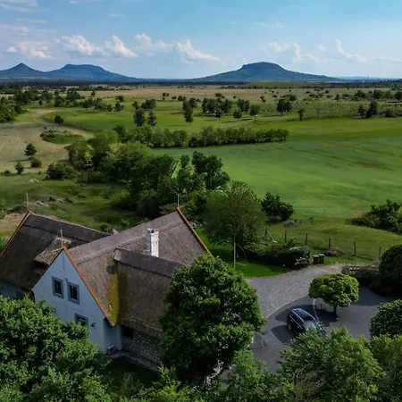 Dolce Zalahaláp